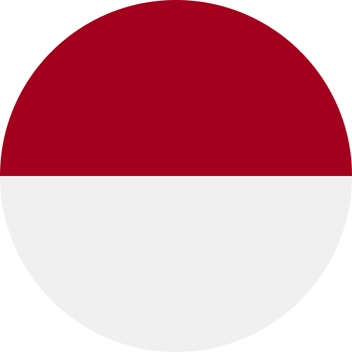 Bintan Flag
